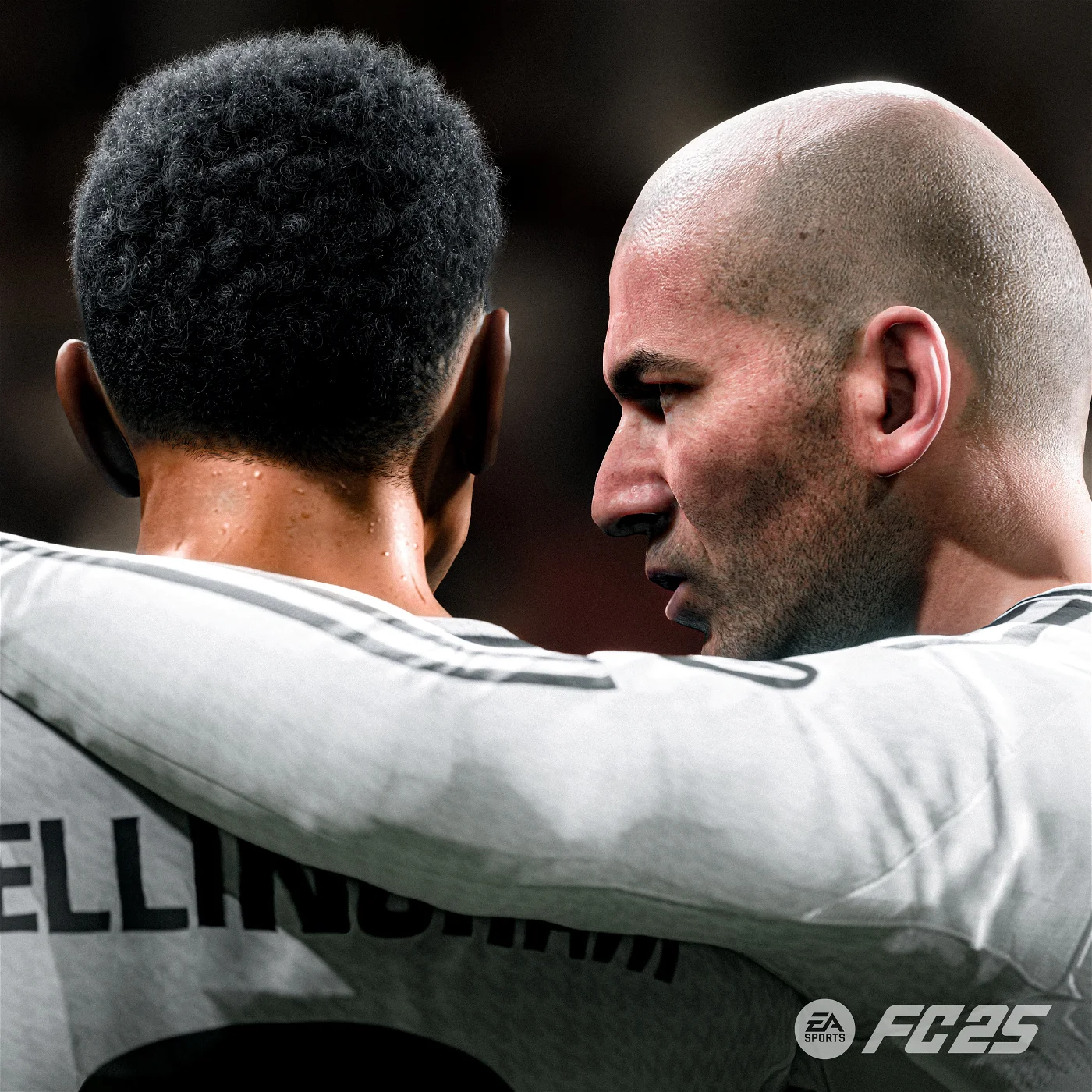 PS4 - EA Sports FC 25 
