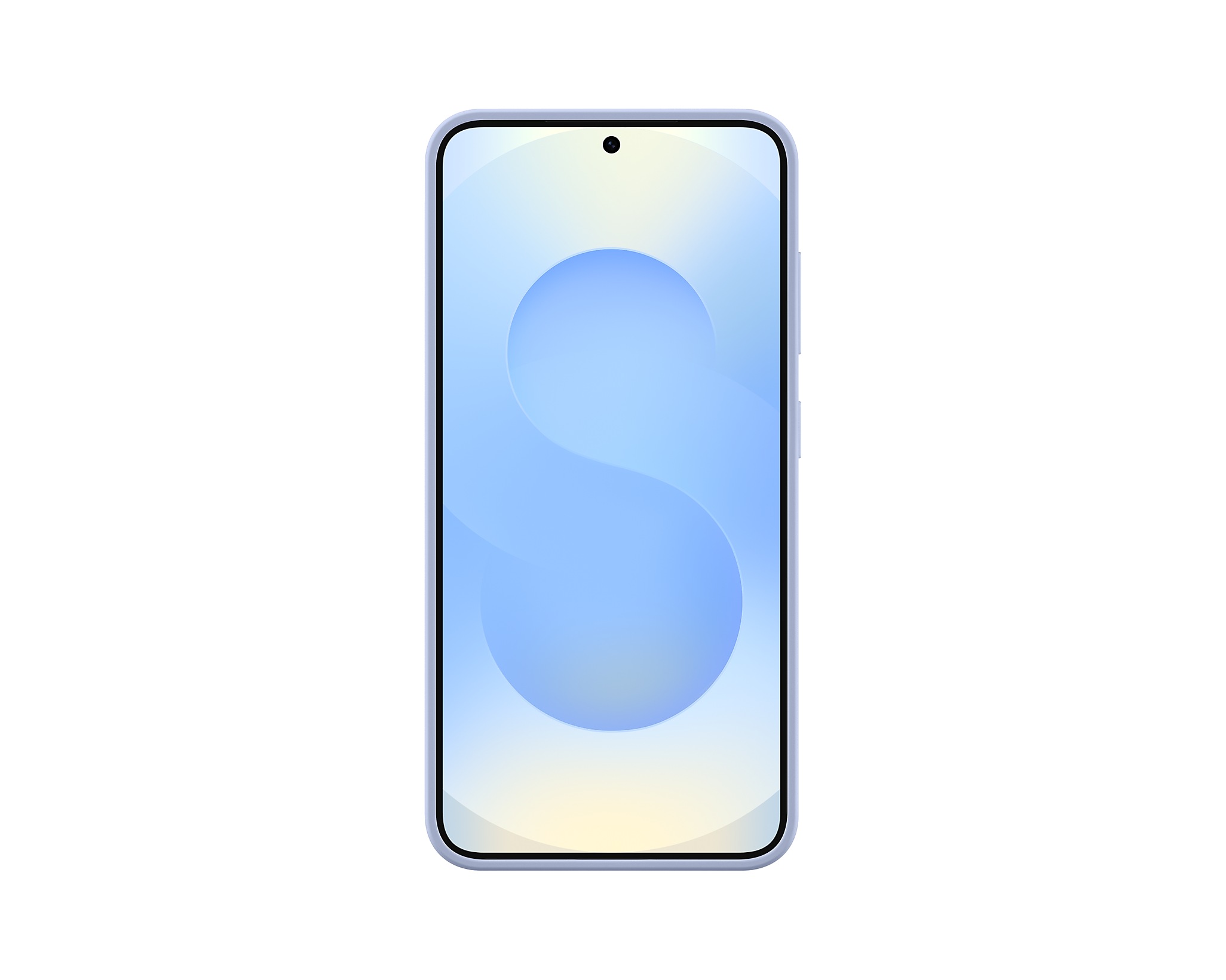 Samsung Silikónový zadný kryt pre Galaxy S25+ Light Blue 