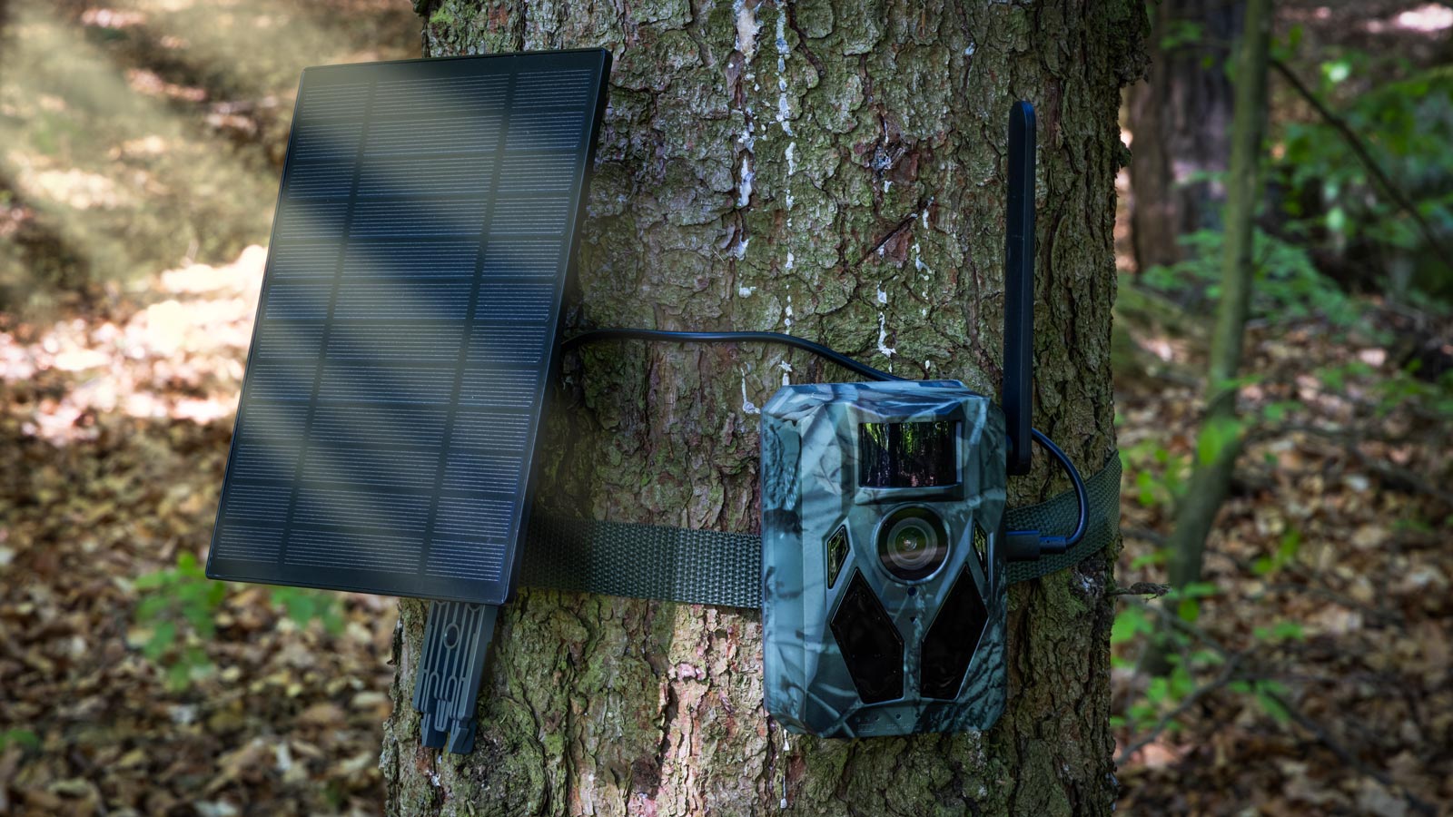 EVOLVEO StrongVision Solar 4G, fotopasca so 4G, Aplikáciou a solárnym panelom 