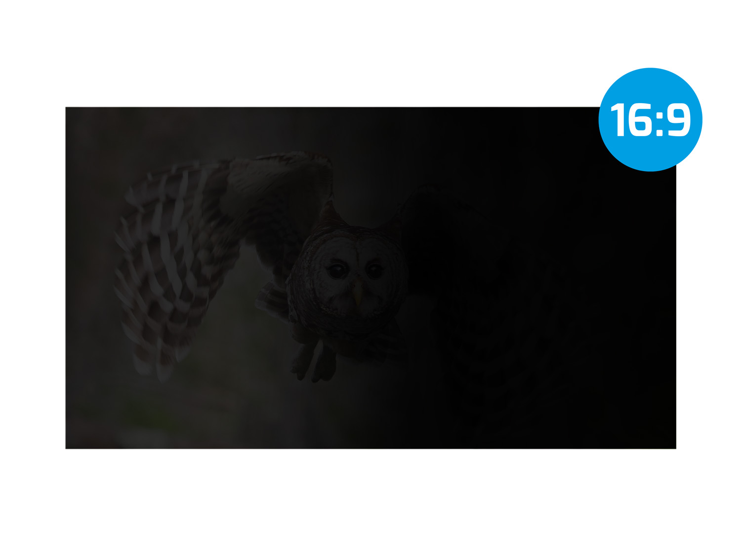 Privátny filter Natec Owl 14" 16:9 