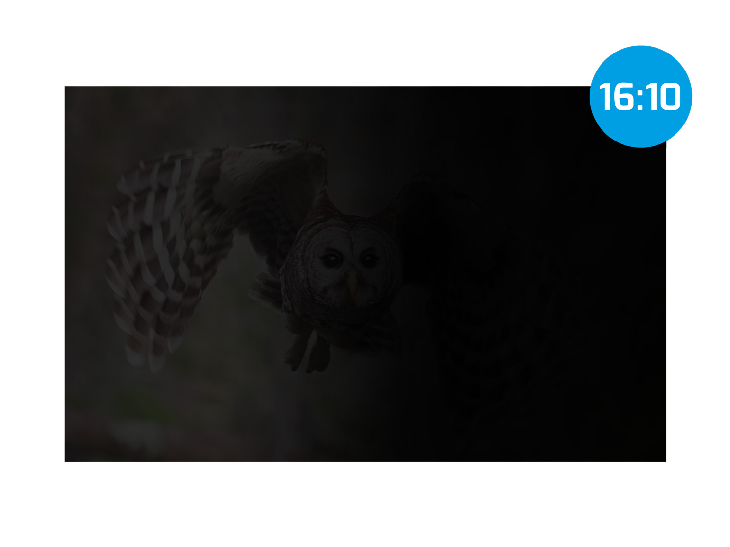 Privátny filter Natec Owl 14" 16:9 