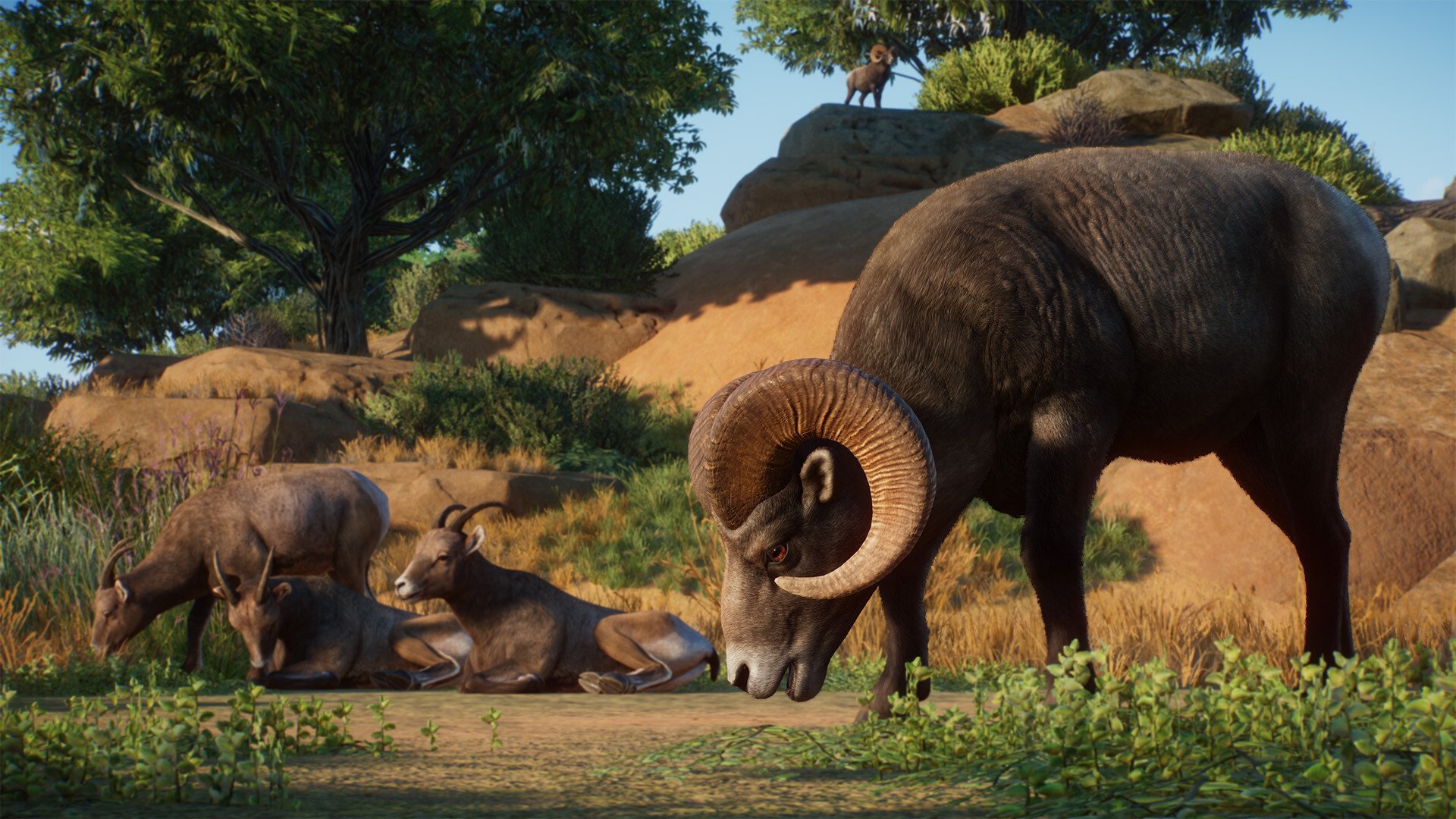 ESD Planet Zoo Americas Animal Pack 