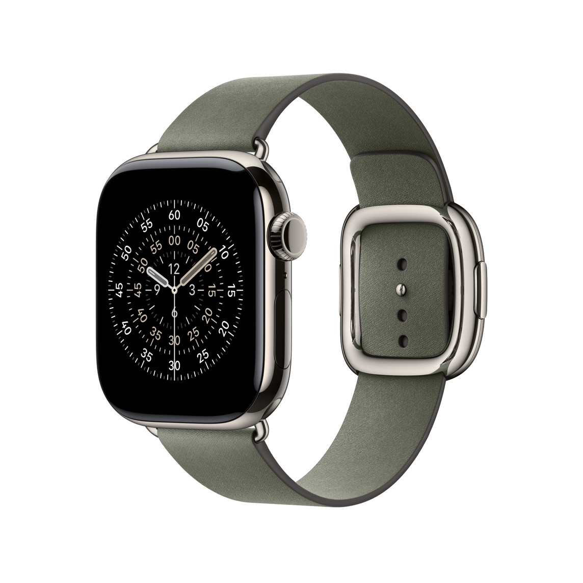 Watch Acc/ 42/ Sage Gray Modern Buckle - S 