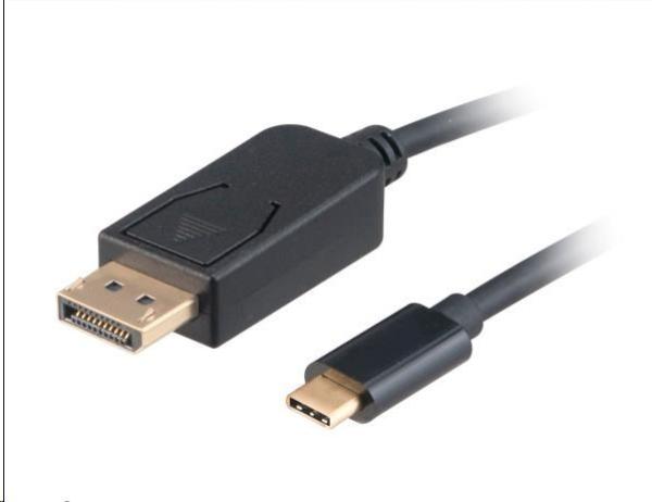 Adaptér AKASA USB Type-C na DisplayPort,  kábel,  1.8m