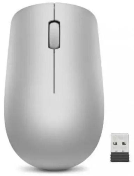 Lenovo 530 Wireless Mouse (Platinum Grey)