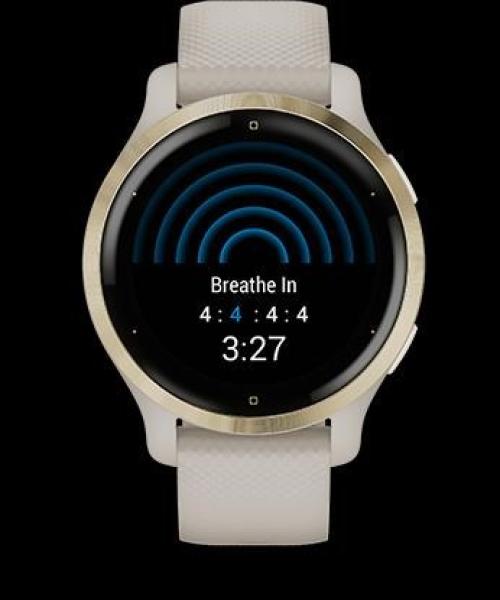 Garmin GPS sportovní hodinky Venu® 2S Rose Gold/ White Leather Band7