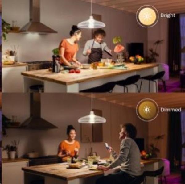 PHILIPS Hue White žárovka 15.5W E27 A67 DIM4