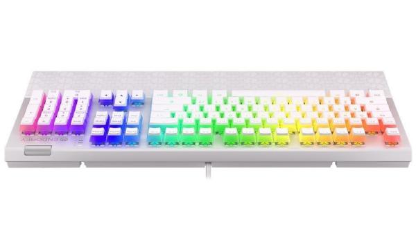 ENDORFY Klávesnice Omnis Pudding Onyx White Blue,  Mechanická,  USB,  ARGB,  bílá4