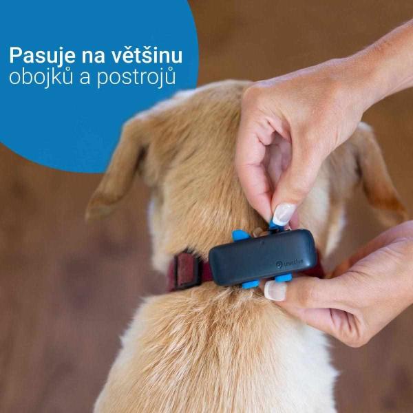 Tractive GPS DOG 4 LTE – sledování polohy a aktivity pro psy - modrá3
