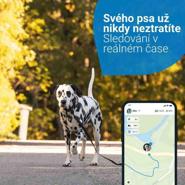 Tractive GPS DOG 4 LTE – sledování polohy a aktivity pro psy - hnědá3
