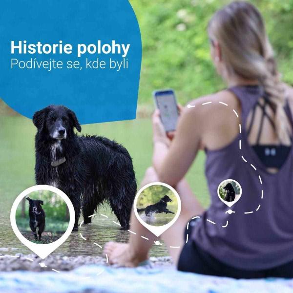 Tractive GPS DOG 4 LTE – sledování polohy a aktivity pro psy - hnědá1