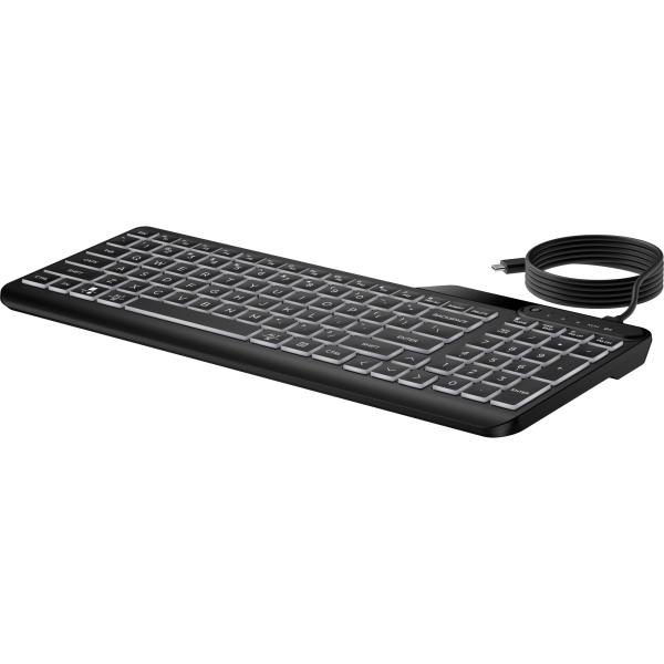 HP 125 Wired Keyboard - Česká8