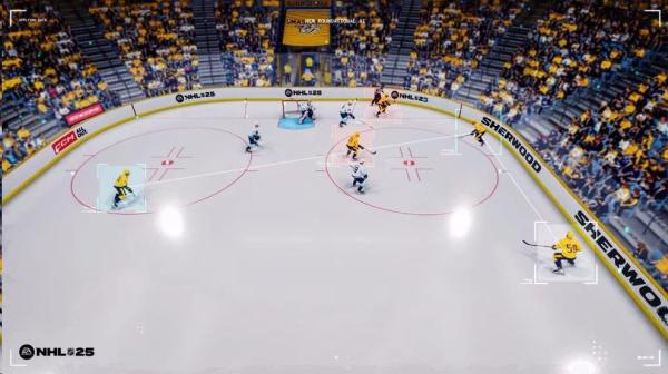 PS5 hra NHL 251