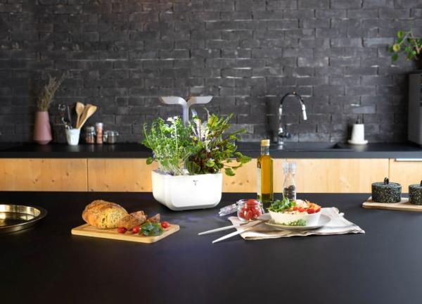 Véritable Exky SMART  - Automatický květináč s regulací osvětlení,  bílá + 2 bylinkové náplně14