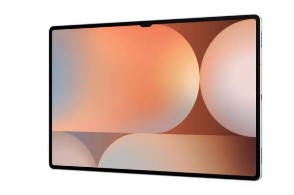 Samsung Galaxy Tab S10 Ultra (WiFi) 12GB/ 256GB,  EU,  stříbrný6