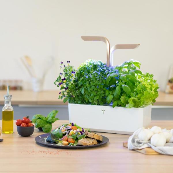Véritable CONNECT - Smart automatický květináč s regulací osvětlení,  bílá-champagne + 4 bylinkové náplně1