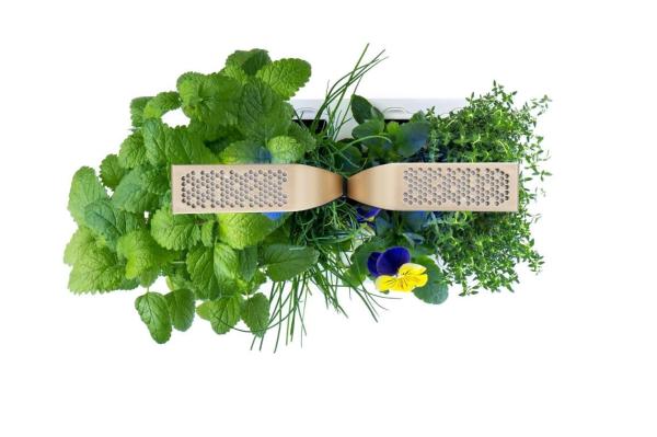 Véritable CONNECT - Smart automatický květináč s regulací osvětlení,  bílá-champagne + 4 bylinkové náplně3
