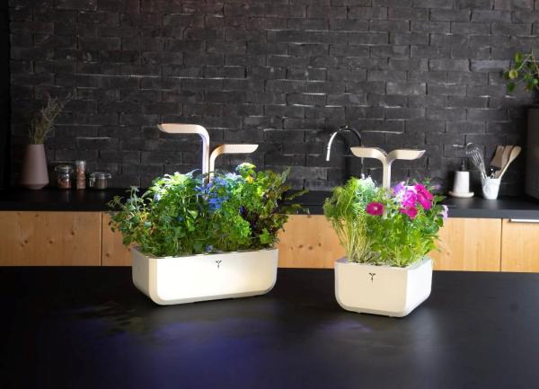 Véritable CONNECT - Smart automatický květináč s regulací osvětlení,  bílá-champagne + 4 bylinkové náplně6