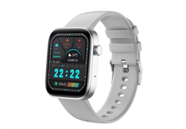 CARNEO Zenith HR+ silver