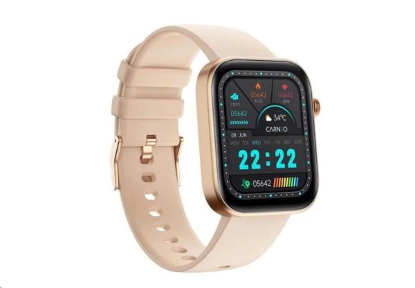 CARNEO Zenith HR+ gold1