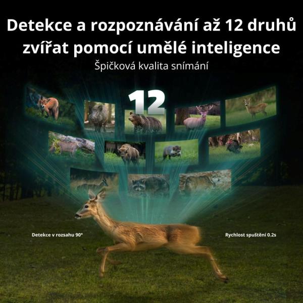 REOLINK Fotopast Talon Series T130, 4K UHD, 4G LTE8