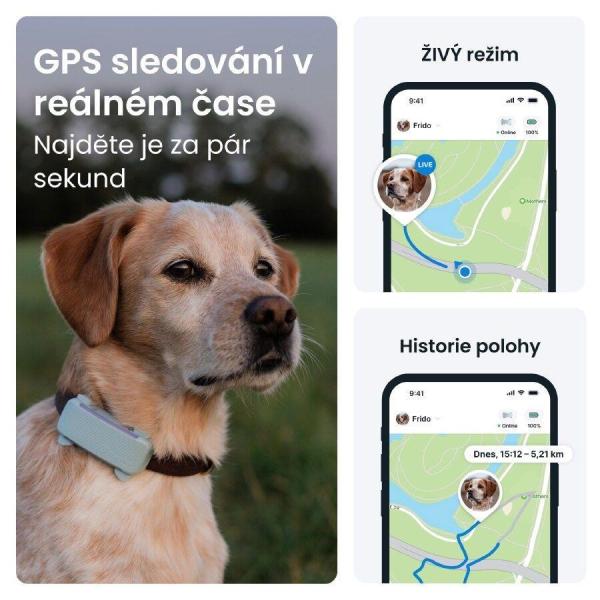 Tractive DOG 6 – GPS lokátor pro psy a monitor zdraví,  mátový2