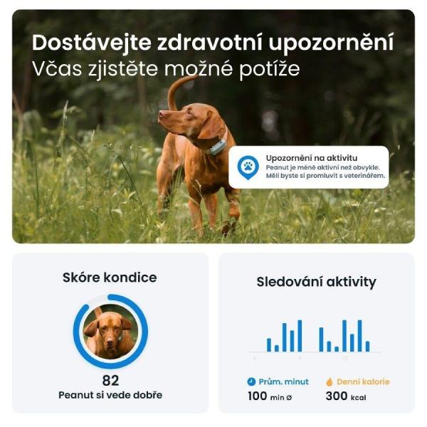 Tractive DOG 6 – GPS lokátor pro psy a monitor zdraví,  mátový4