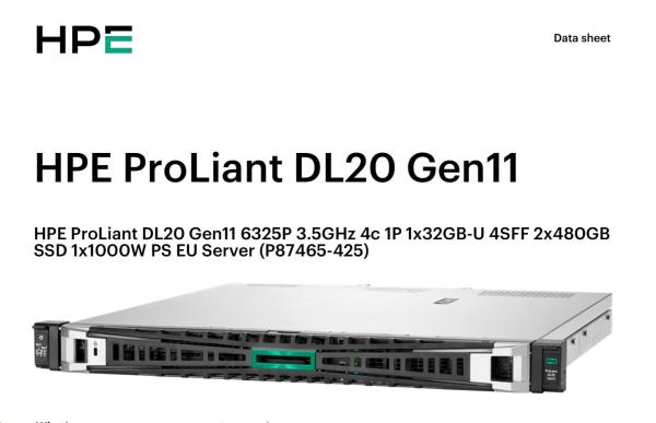 HPE PL DL20g11 6325P (3.5G/ 4C8T) 1x32G (P64339) 2x480G SSD VROC 4SFF-HP 4p1Gb 1x1000W Smart Choice4