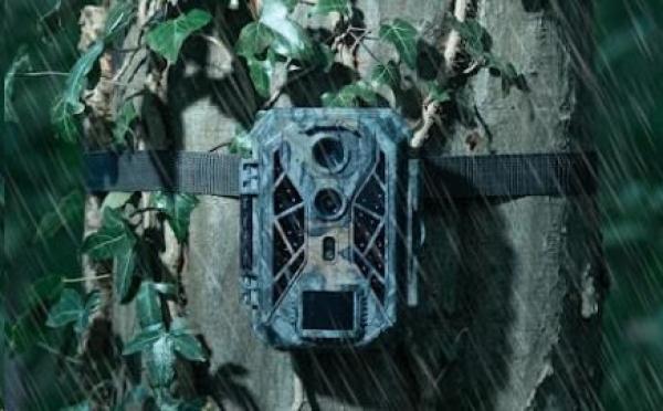 Camouflage EZ2 elite3