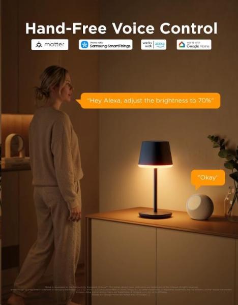 Govee Table Lamp Classic S RGBICWW stolní lampa,  Matter4