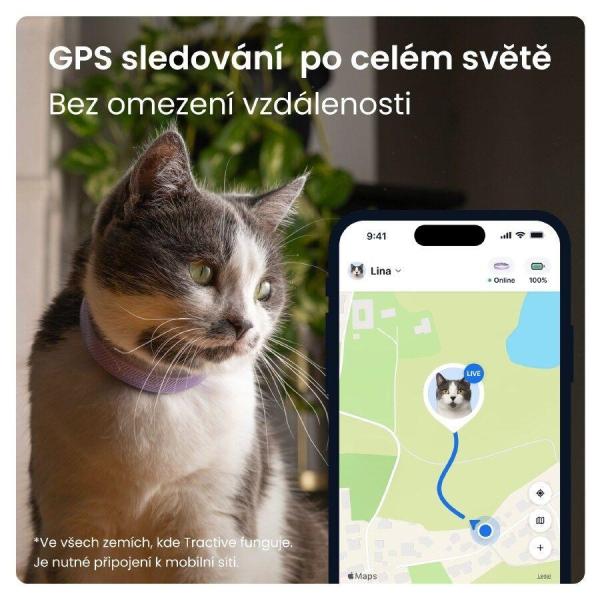 Tractive CAT 6 Mini – chytrý GPS lokátor pro kočky a monitor zdraví s integrovaným obojkem - levandulový2