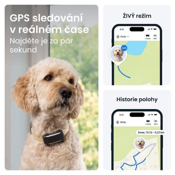 Tractive DOG 6 XL – Chytrý GPS lokátor pro psy se sledováním životních funkcí a zdravotními upozorněními,  černý2