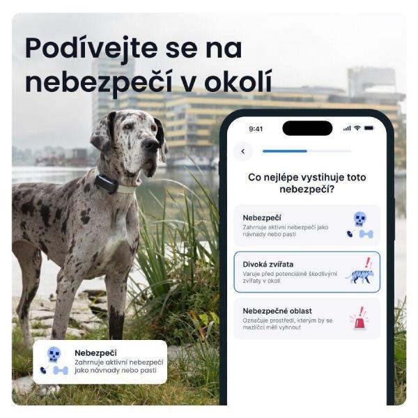Tractive DOG 6 XL – Chytrý GPS lokátor pro psy se sledováním životních funkcí a zdravotními upozorněními,  černý3
