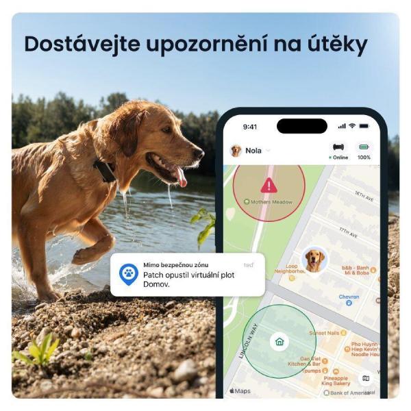 Tractive DOG 6 XL – Chytrý GPS lokátor pro psy se sledováním životních funkcí a zdravotními upozorněními,  černý4