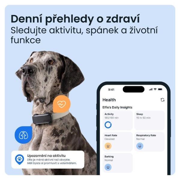 Tractive DOG 6 XL – Chytrý GPS lokátor pro psy se sledováním životních funkcí a zdravotními upozorněními,  černý5