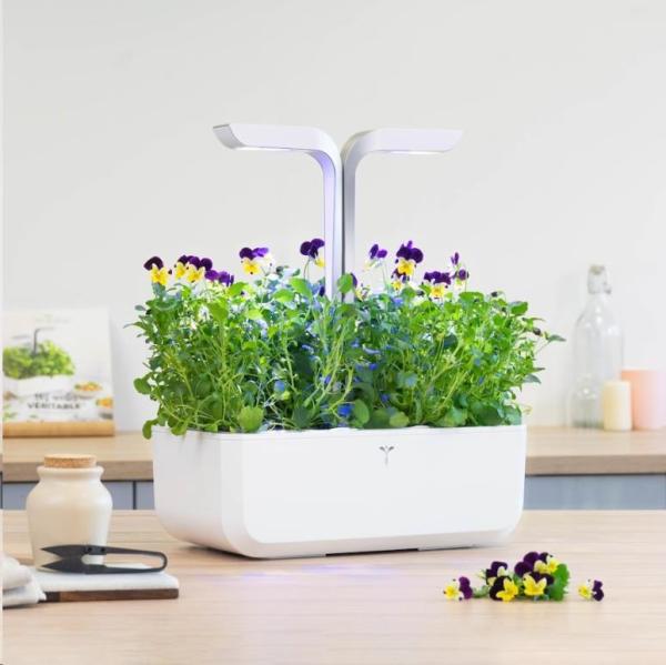 BAZAR - Véritable Lingot Maceška - BIO - Poškozený obal (Komplet)1
