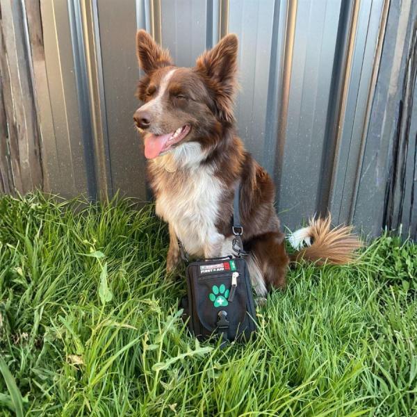 Lékárnička Survival First Aid Kit Pet (CZ)10
