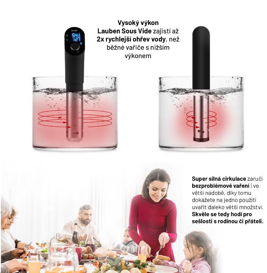 Lauben Sous Vide Stick SV011 