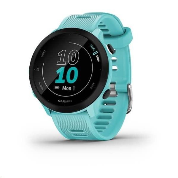 Garmin GPS sportovní hodinky Forerunner 55 Blue0 