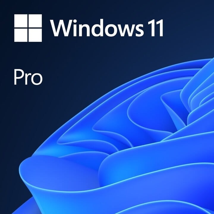 Windows 11 Pro 64Bit CZ OEM0 