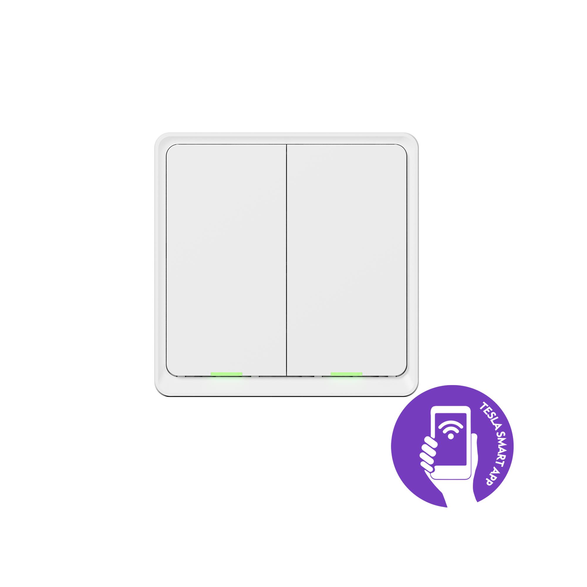 Tesla Smart Switch Dual Battery2 