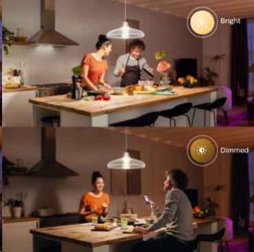 PHILIPS Hue White žárovka 15.5W E27 A67 DIM4 