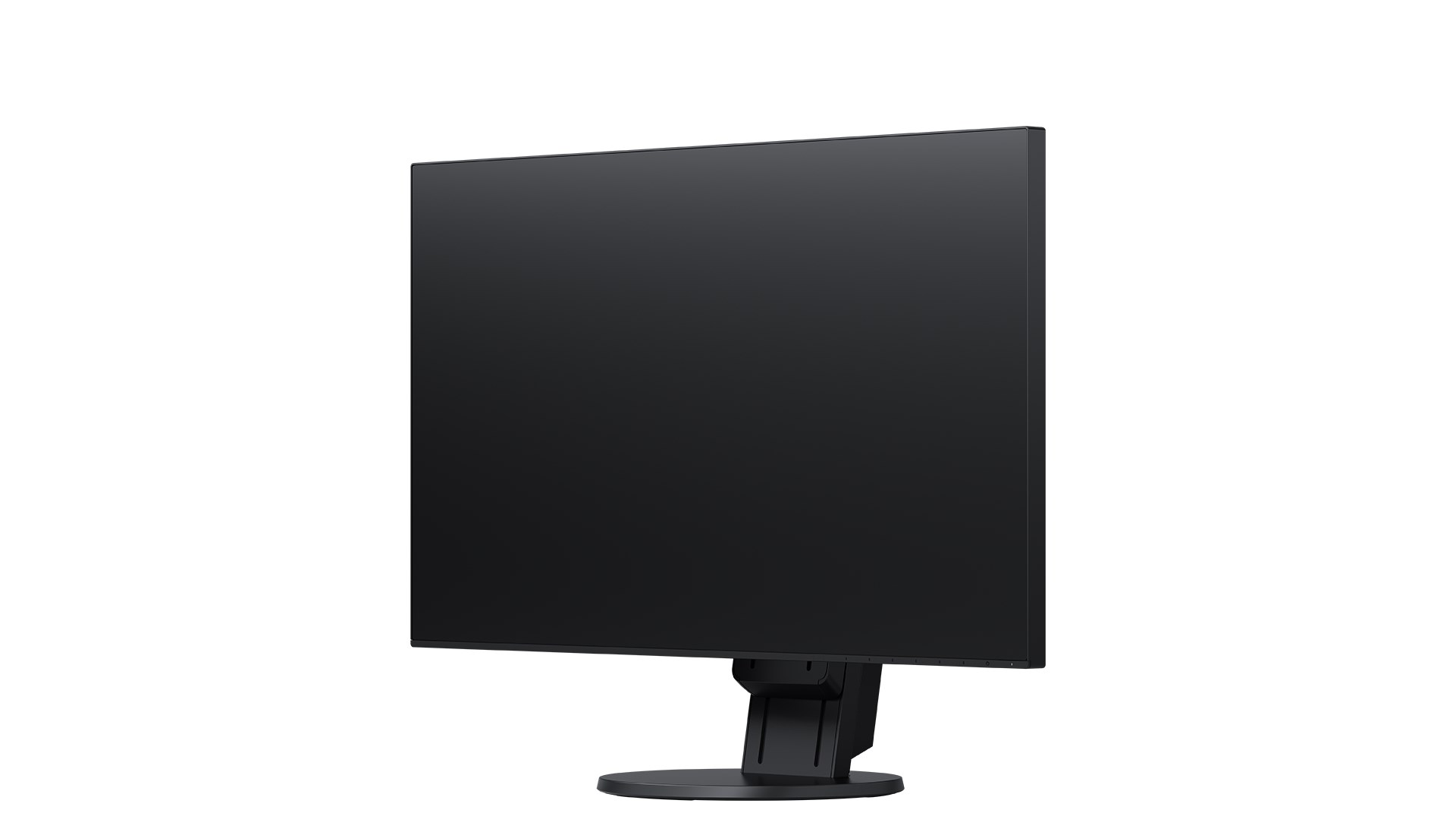 EIZO MT IPS LCD LED 24
