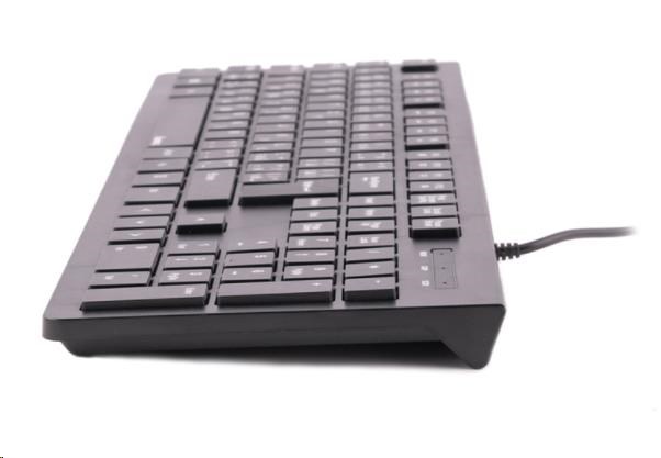 Hama klávesnice Basic KC-200,  černá1 