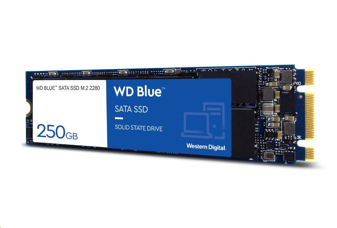 WD BLUE SSD 3D NAND WDS100T3B0B 1TB SA510 M.2,  (R:560,  W:520MB/ s)1 