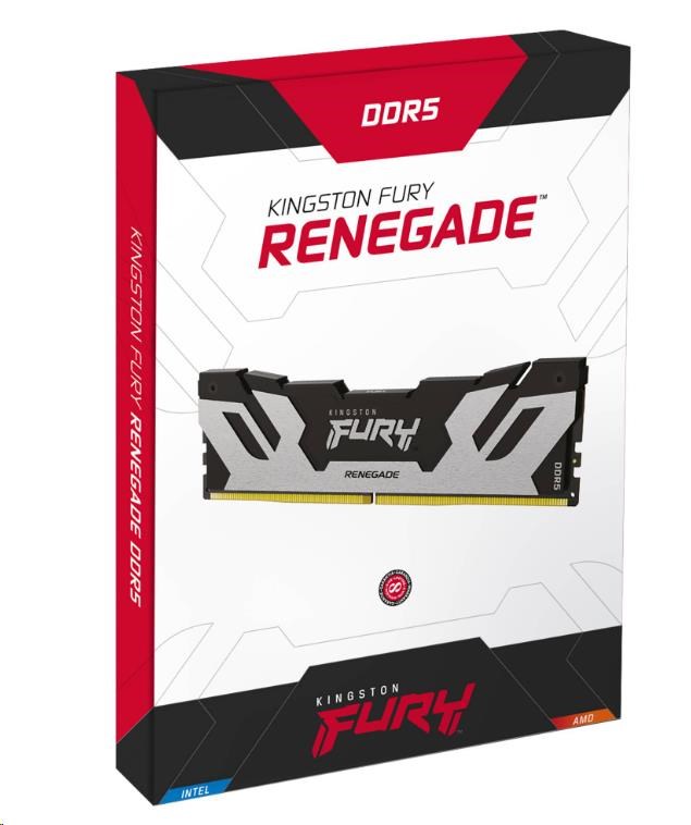 KINGSTON DIMM DDR5 16GB 6400MT/ s CL32 FURY Renegade Stříbrná2 