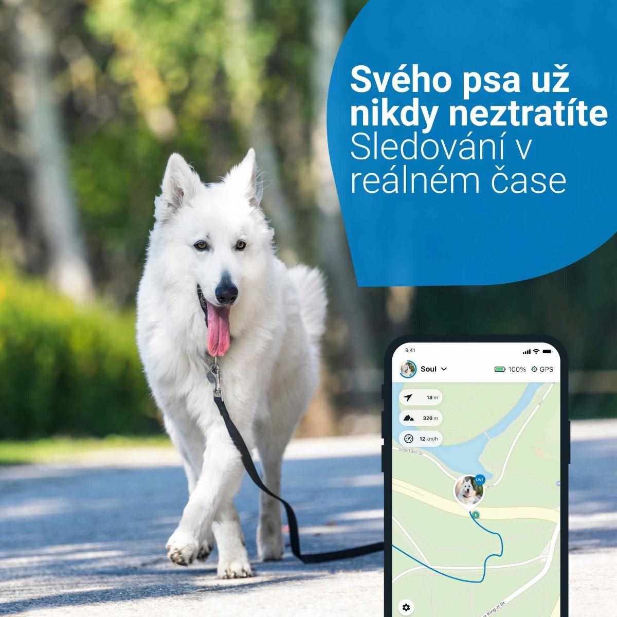 Tractive GPS DOG 4 LTE – sledování polohy a aktivity pro psy - modrá4 