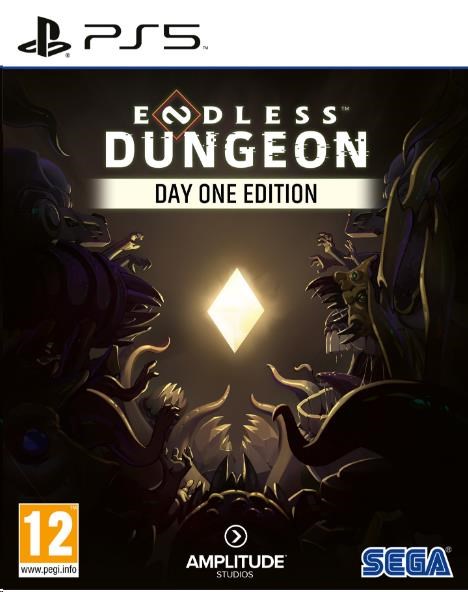 PS5 hra Endless Dungeon Day One Edition0 