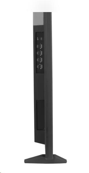 ASUS ProArt PA32DC 32