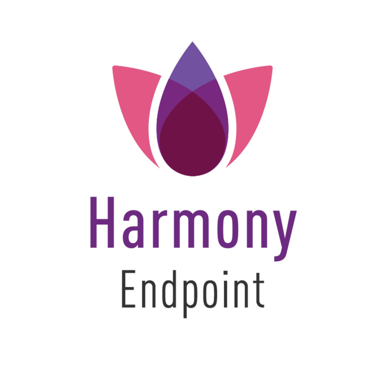 Check Point Harmony Endpoint Advanced, Premium direct support, 1 year0 
